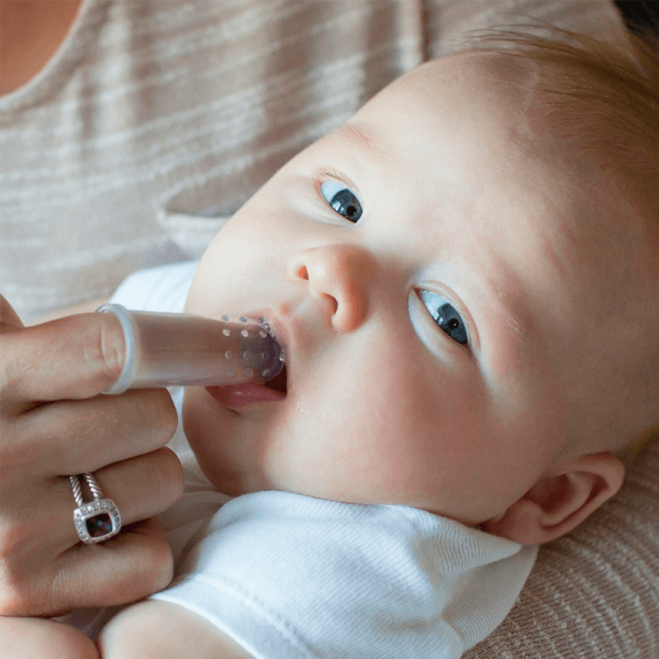 Dr. Brown’s – Cepillo dental dedal - Imagen 2
